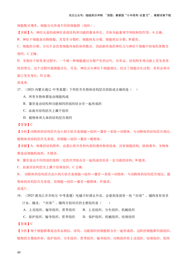专题02生物体的结构层次（全国通用）（解析版）_02中考总复习（2026版更新中）_08-生物-中考总复习_2026年中考复习（更新中）