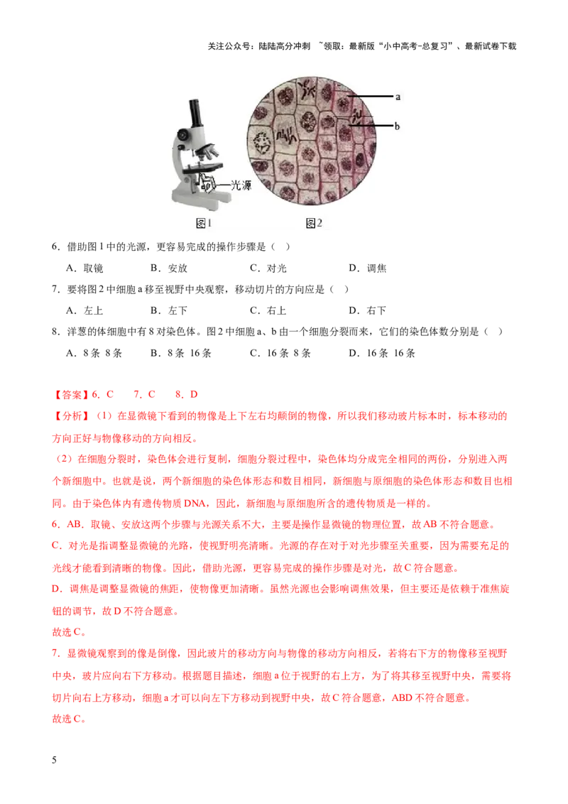 专题02生物体的结构层次（全国通用）（解析版）_02中考总复习（2026版更新中）_08-生物-中考总复习_2026年中考复习（更新中）
