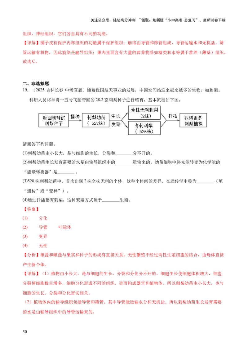 专题02生物体的结构层次（全国通用）（解析版）_02中考总复习（2026版更新中）_08-生物-中考总复习_2026年中考复习（更新中）