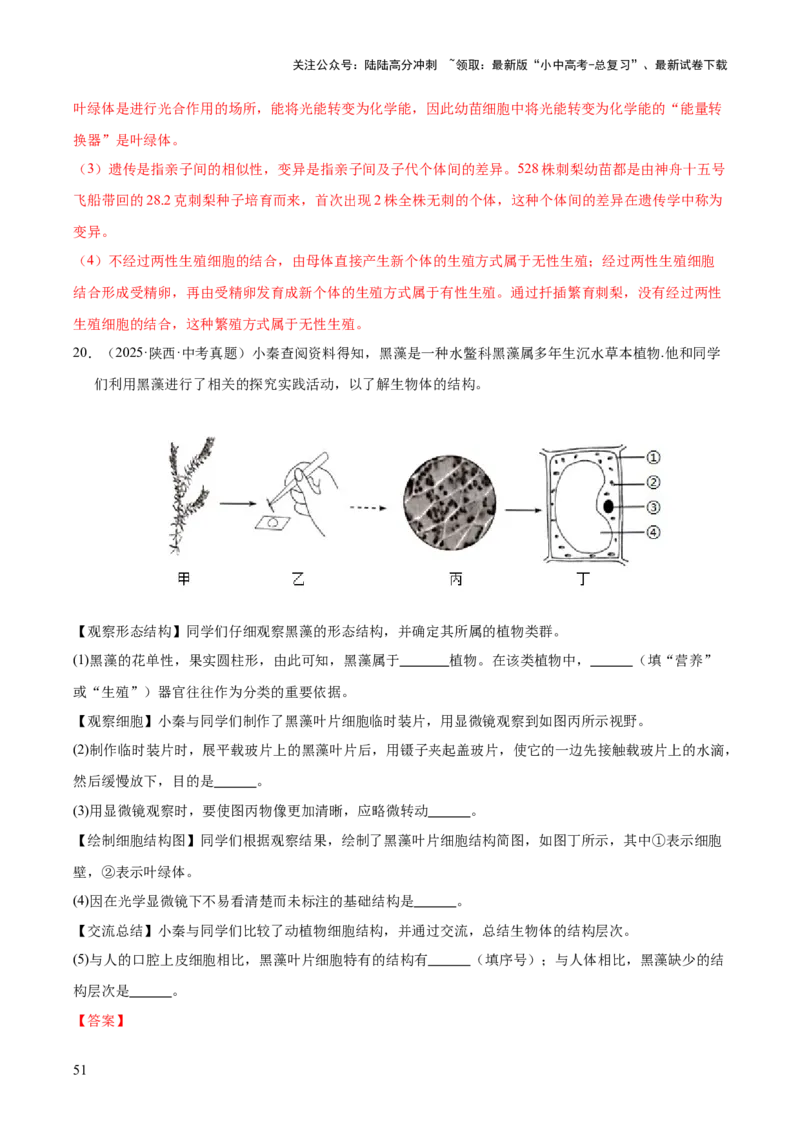 专题02生物体的结构层次（全国通用）（解析版）_02中考总复习（2026版更新中）_08-生物-中考总复习_2026年中考复习（更新中）