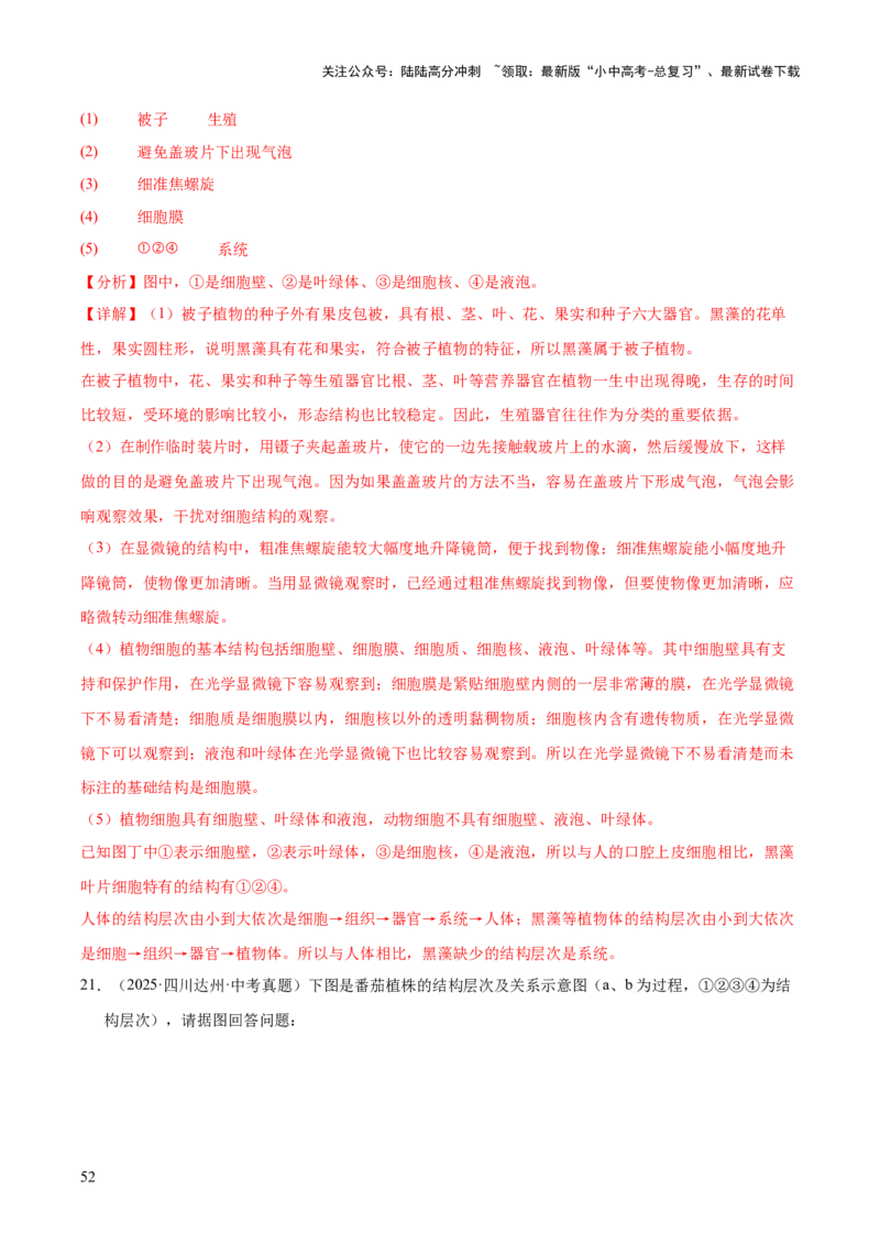 专题02生物体的结构层次（全国通用）（解析版）_02中考总复习（2026版更新中）_08-生物-中考总复习_2026年中考复习（更新中）