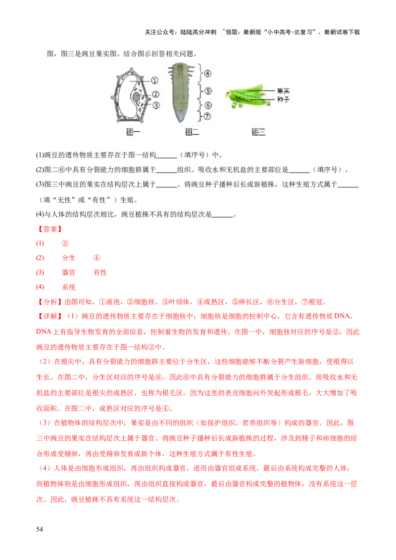 专题02生物体的结构层次（全国通用）（解析版）_02中考总复习（2026版更新中）_08-生物-中考总复习_2026年中考复习（更新中）