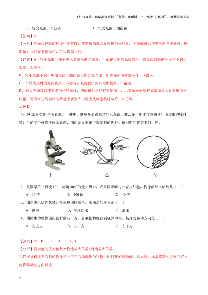 专题02生物体的结构层次（全国通用）（解析版）_02中考总复习（2026版更新中）_08-生物-中考总复习_2026年中考复习（更新中）