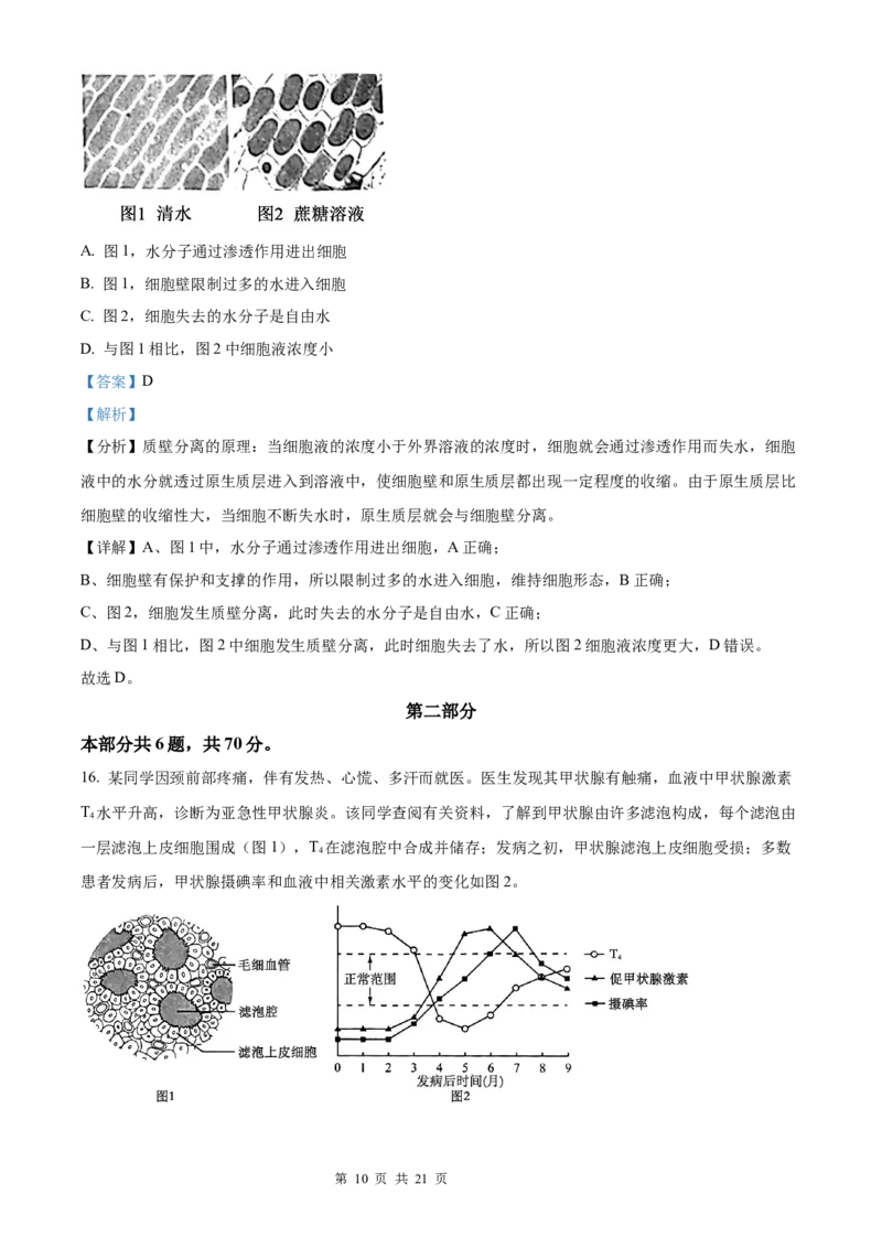 生物北京版2025年普通高等学校招生选择性考试（解析版）_2025全国各省高考真题+答案_3、北京卷（语数外物政化史生地）