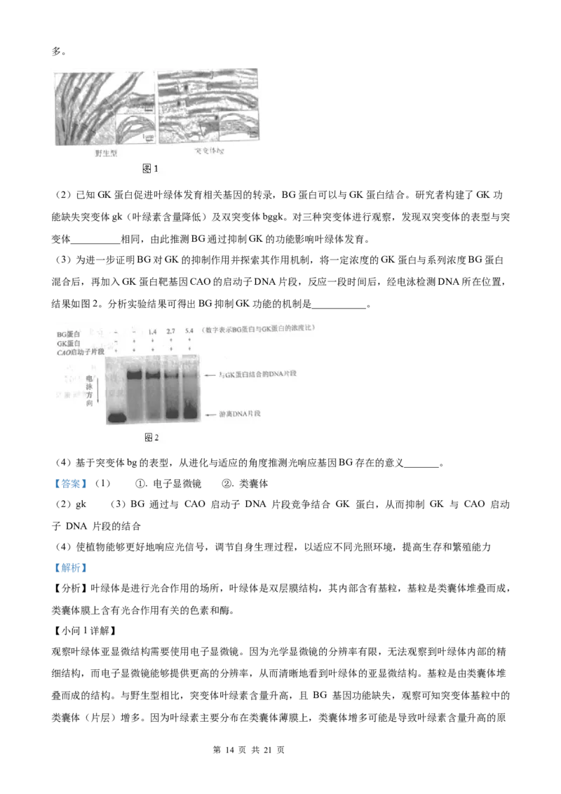 生物北京版2025年普通高等学校招生选择性考试（解析版）_2025全国各省高考真题+答案_3、北京卷（语数外物政化史生地）