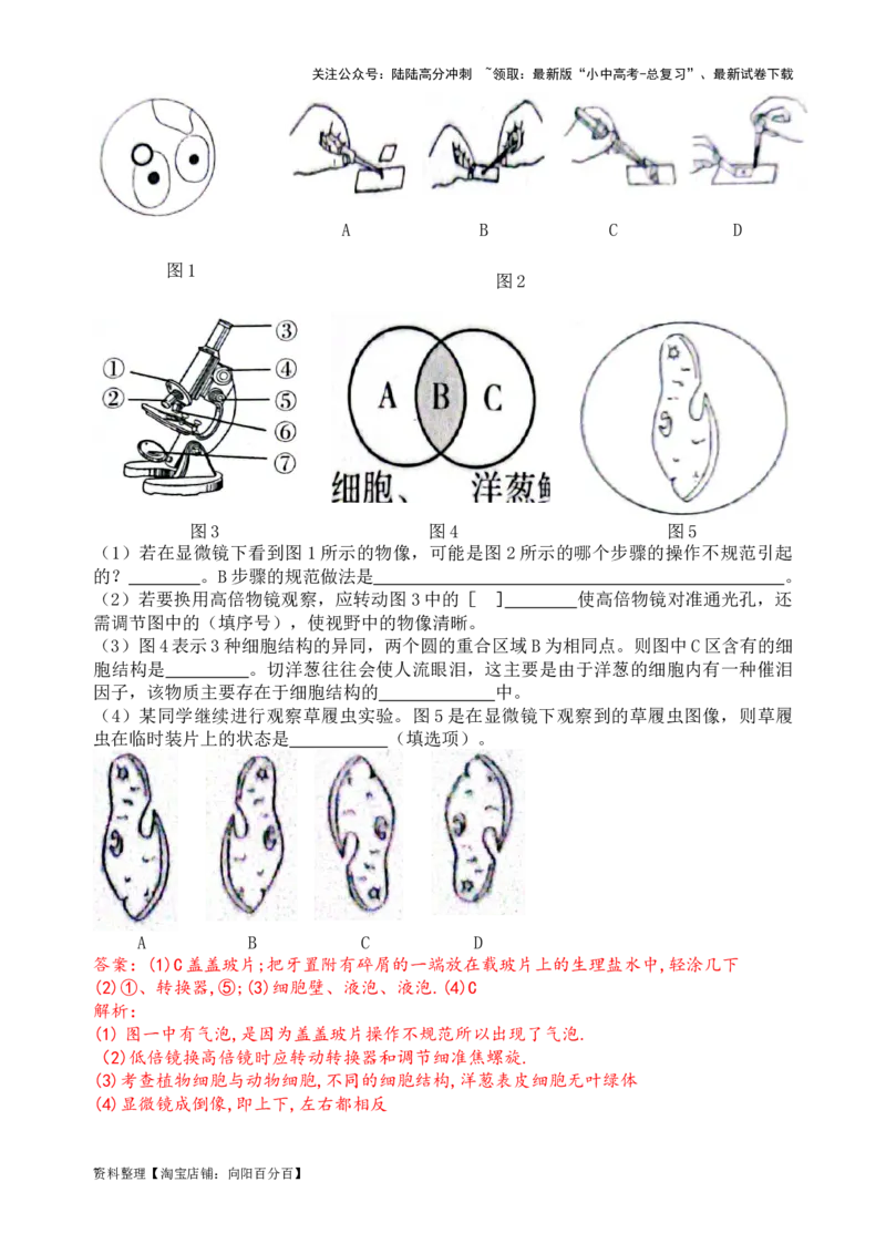 专题03显微镜的结构、功能和使用（解析版）_02中考总复习（2026版更新中）_08-生物-中考总复习_2024年中考复习资料_一轮复习_配套练习_教师版（含答案解析）