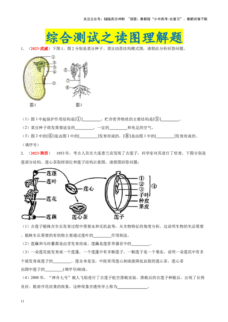 专题03&nbsp;绿色开花植物的一生（原卷版）_02中考总复习（2026版更新中）_08-生物-中考总复习_2024年中考复习资料_专项复习_完三年（2021-2023）中考生物真题分项汇编（全国通用）