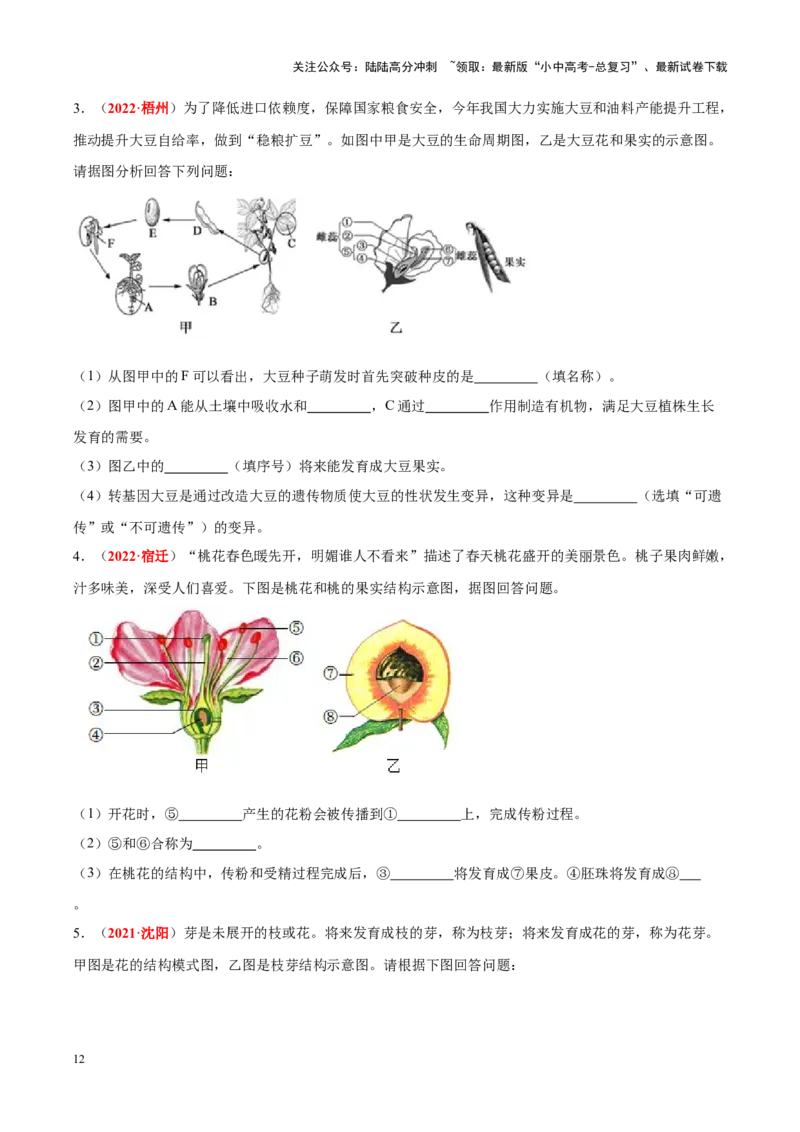 专题03&nbsp;绿色开花植物的一生（原卷版）_02中考总复习（2026版更新中）_08-生物-中考总复习_2024年中考复习资料_专项复习_完三年（2021-2023）中考生物真题分项汇编（全国通用）