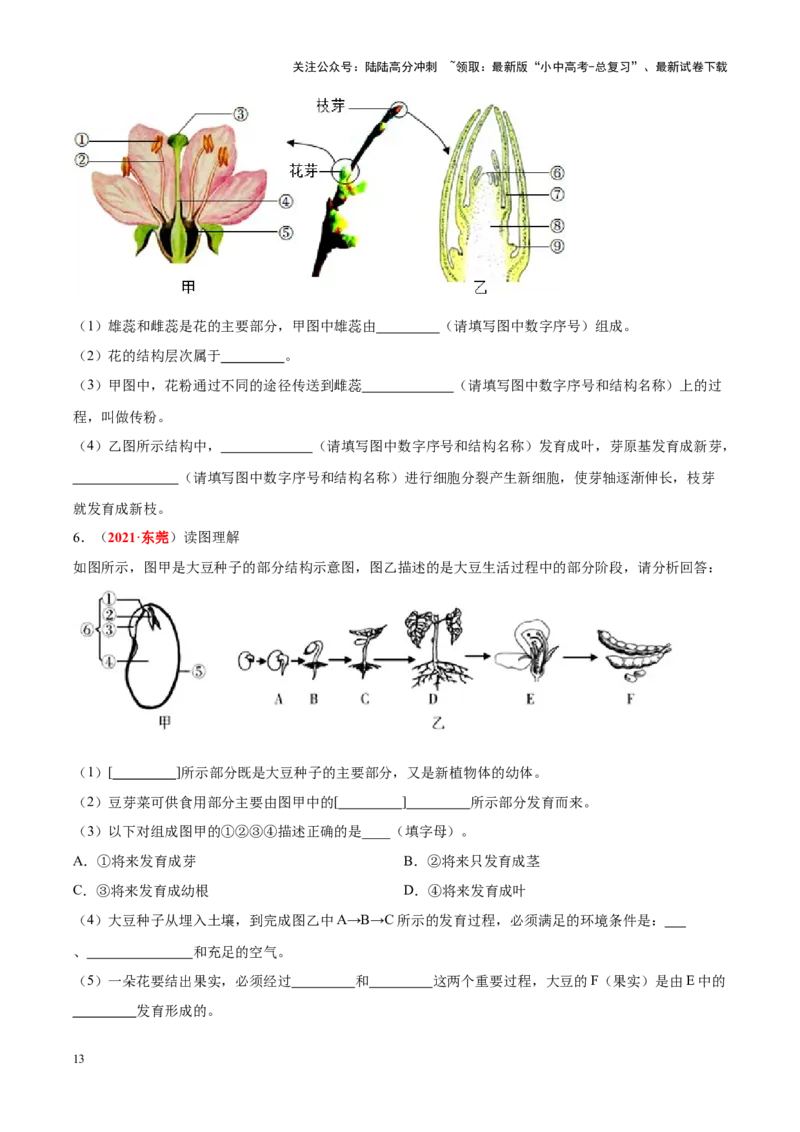 专题03&nbsp;绿色开花植物的一生（原卷版）_02中考总复习（2026版更新中）_08-生物-中考总复习_2024年中考复习资料_专项复习_完三年（2021-2023）中考生物真题分项汇编（全国通用）