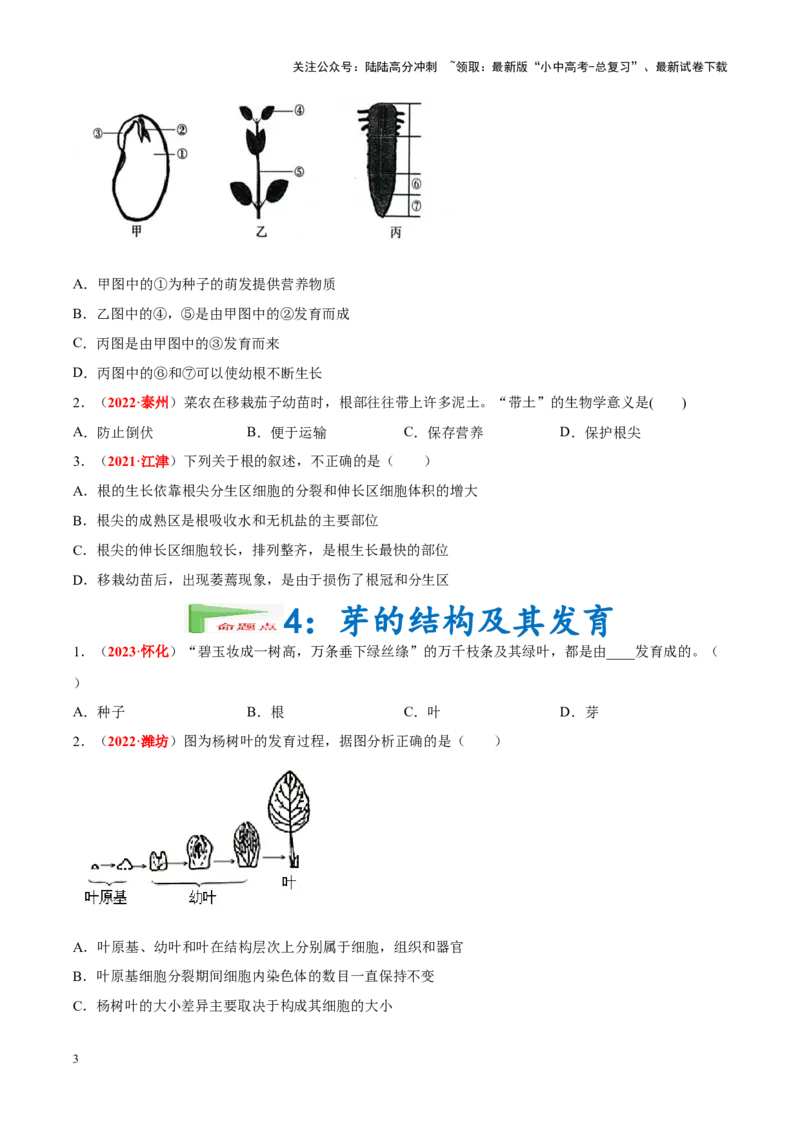 专题03&nbsp;绿色开花植物的一生（原卷版）_02中考总复习（2026版更新中）_08-生物-中考总复习_2024年中考复习资料_专项复习_完三年（2021-2023）中考生物真题分项汇编（全国通用）