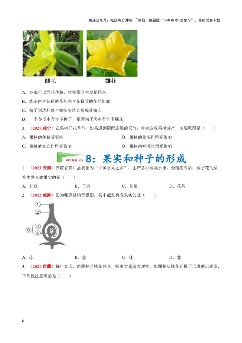 专题03&nbsp;绿色开花植物的一生（原卷版）_02中考总复习（2026版更新中）_08-生物-中考总复习_2024年中考复习资料_专项复习_完三年（2021-2023）中考生物真题分项汇编（全国通用）