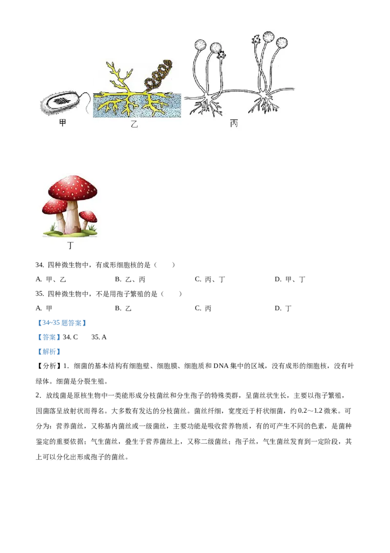 精品解析：江苏省淮安市2020年中考生物试题（解析版）_江苏省中考_01江苏省13市中考历年真题2008-2025新_、中考全套_江苏省中考历年真题_江苏中考生物(2010年-2024年）_淮安生物真题