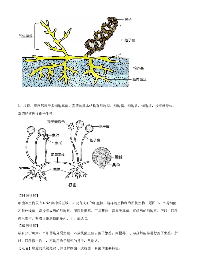 精品解析：江苏省淮安市2020年中考生物试题（解析版）_江苏省中考_01江苏省13市中考历年真题2008-2025新_、中考全套_江苏省中考历年真题_江苏中考生物(2010年-2024年）_淮安生物真题