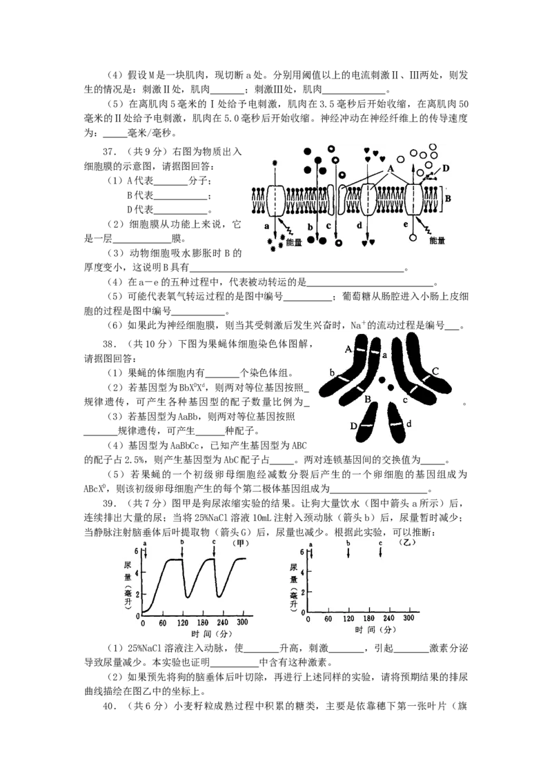 2002年上海高考生物真题及答案_全国卷+地方卷_6.生物_1.生物高考真题试卷_1990-2007年各地高考历年真题_上海