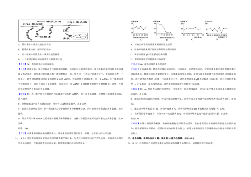 2008年江苏省高考生物试卷解析版_全国卷+地方卷_6.生物_1.生物高考真题试卷_2008-2020年_地方卷_江苏高考生物07-20_A3word版_PDF版（赠送）