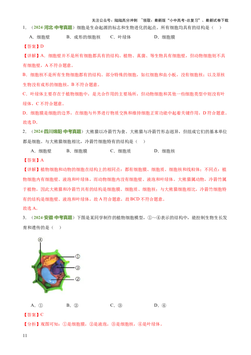 专题02生物体的结构层次（2大模板）（解析版）_02中考总复习（2026版更新中）_08-生物-中考总复习_2025中考复习资料_2025年中考生物答题方法模板