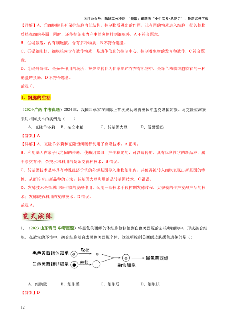 专题02生物体的结构层次（2大模板）（解析版）_02中考总复习（2026版更新中）_08-生物-中考总复习_2025中考复习资料_2025年中考生物答题方法模板