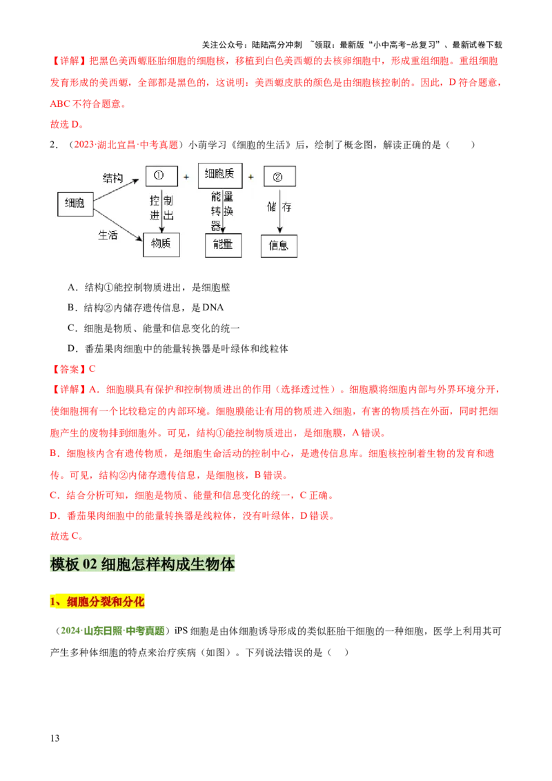 专题02生物体的结构层次（2大模板）（解析版）_02中考总复习（2026版更新中）_08-生物-中考总复习_2025中考复习资料_2025年中考生物答题方法模板