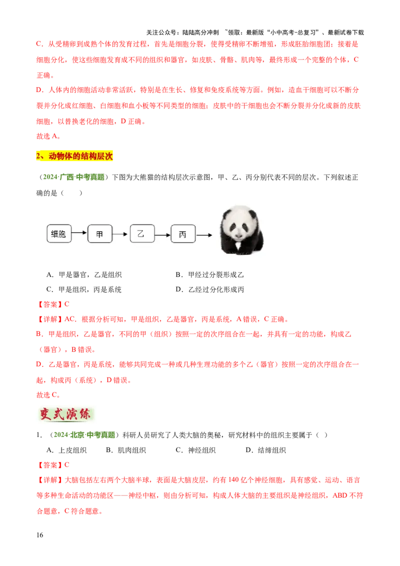 专题02生物体的结构层次（2大模板）（解析版）_02中考总复习（2026版更新中）_08-生物-中考总复习_2025中考复习资料_2025年中考生物答题方法模板