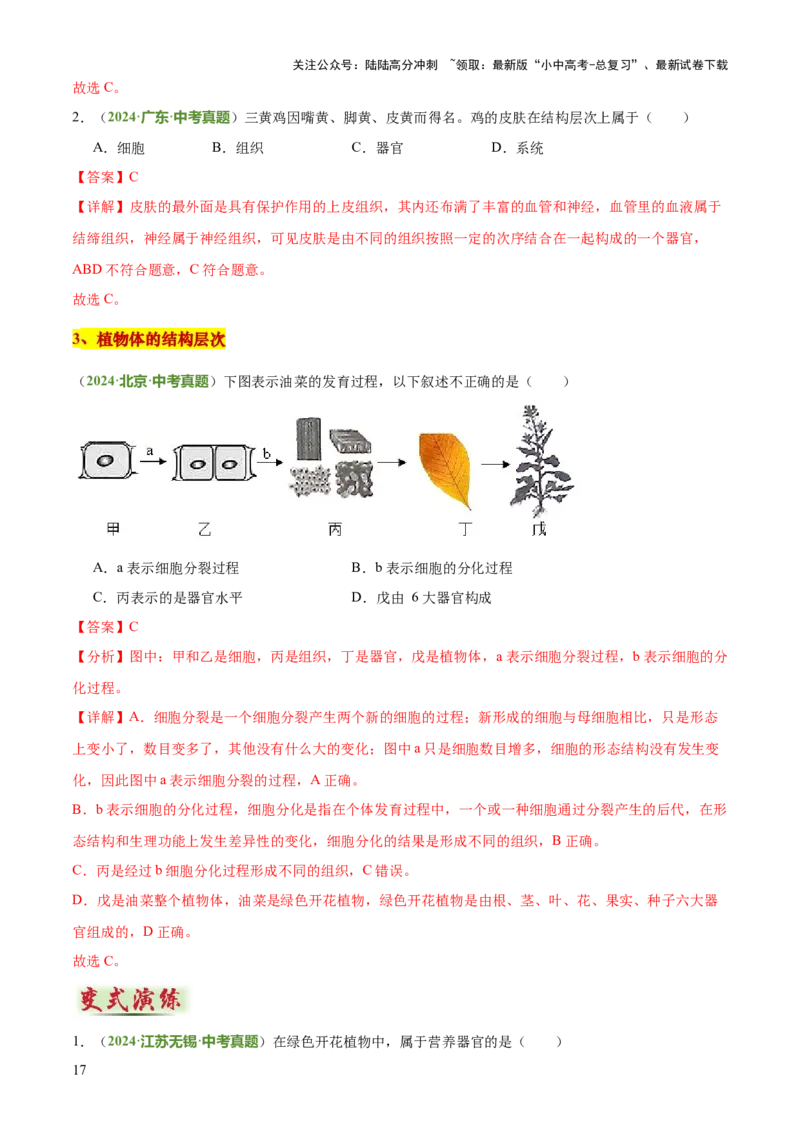 专题02生物体的结构层次（2大模板）（解析版）_02中考总复习（2026版更新中）_08-生物-中考总复习_2025中考复习资料_2025年中考生物答题方法模板