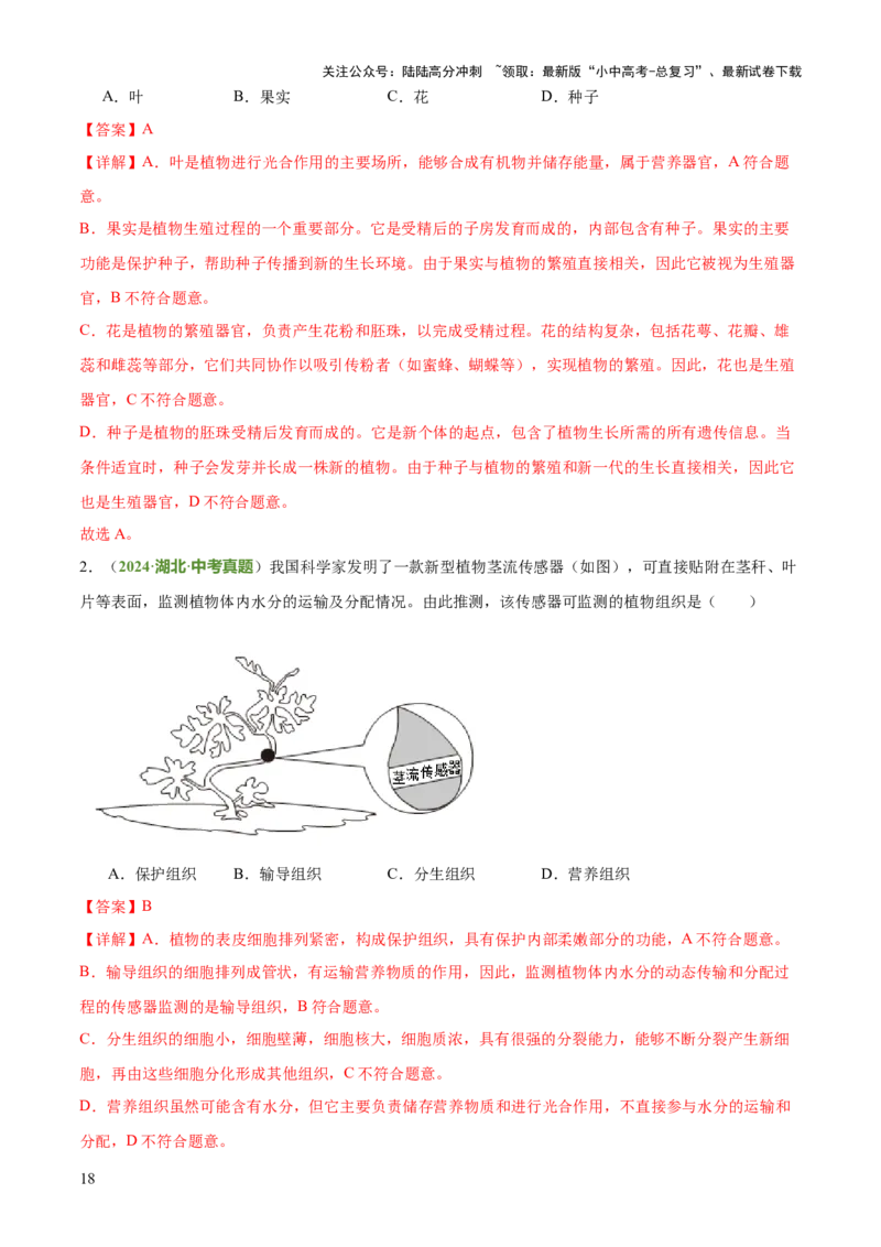 专题02生物体的结构层次（2大模板）（解析版）_02中考总复习（2026版更新中）_08-生物-中考总复习_2025中考复习资料_2025年中考生物答题方法模板
