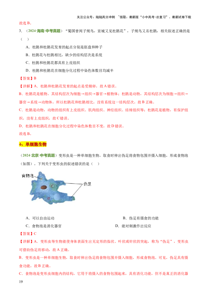 专题02生物体的结构层次（2大模板）（解析版）_02中考总复习（2026版更新中）_08-生物-中考总复习_2025中考复习资料_2025年中考生物答题方法模板