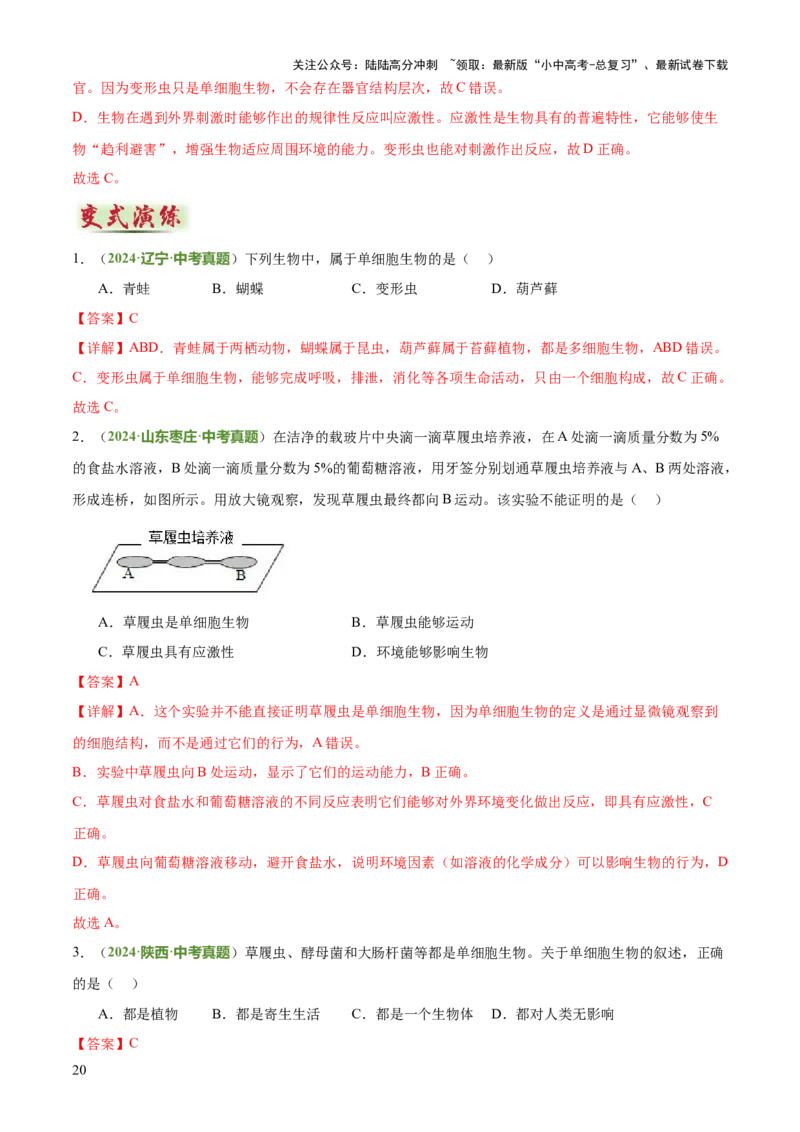 专题02生物体的结构层次（2大模板）（解析版）_02中考总复习（2026版更新中）_08-生物-中考总复习_2025中考复习资料_2025年中考生物答题方法模板