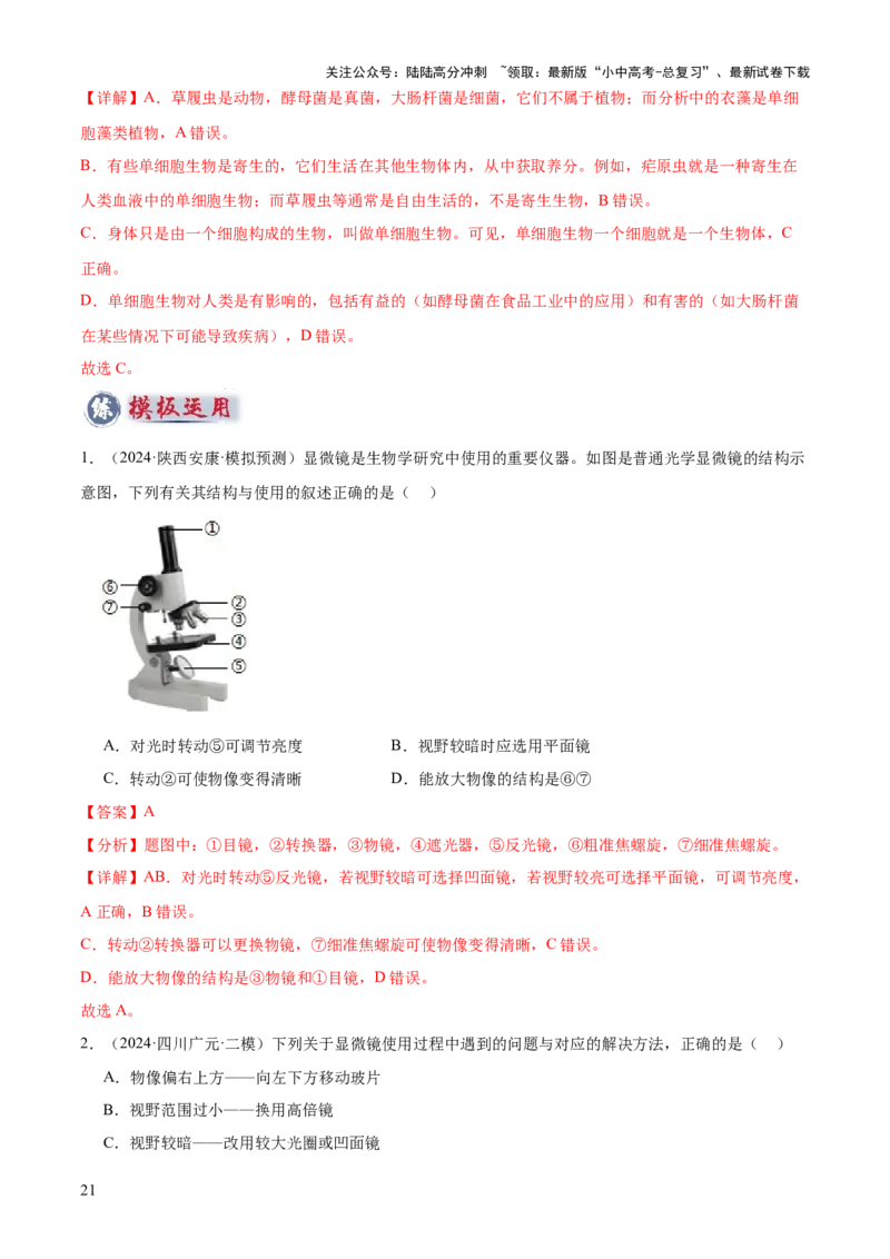专题02生物体的结构层次（2大模板）（解析版）_02中考总复习（2026版更新中）_08-生物-中考总复习_2025中考复习资料_2025年中考生物答题方法模板
