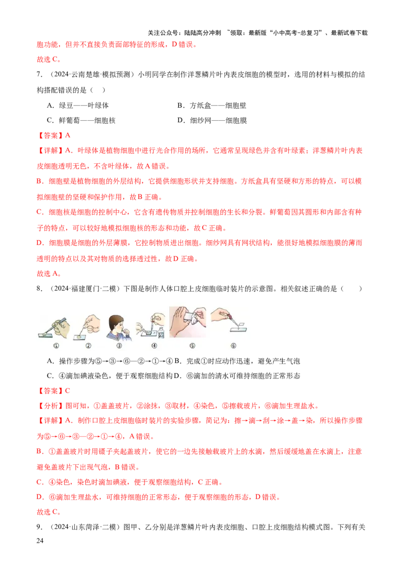 专题02生物体的结构层次（2大模板）（解析版）_02中考总复习（2026版更新中）_08-生物-中考总复习_2025中考复习资料_2025年中考生物答题方法模板