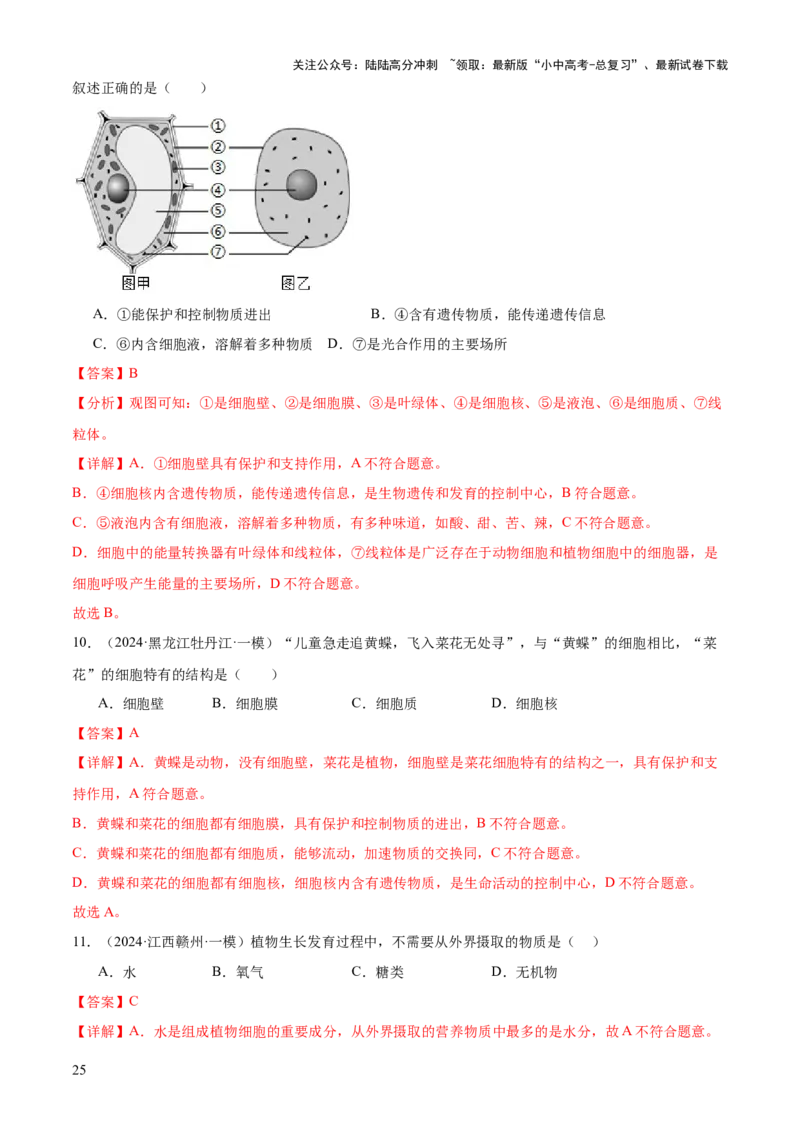 专题02生物体的结构层次（2大模板）（解析版）_02中考总复习（2026版更新中）_08-生物-中考总复习_2025中考复习资料_2025年中考生物答题方法模板