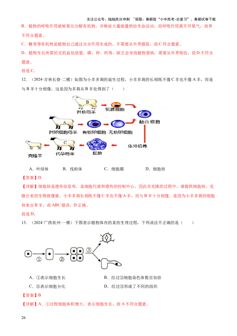 专题02生物体的结构层次（2大模板）（解析版）_02中考总复习（2026版更新中）_08-生物-中考总复习_2025中考复习资料_2025年中考生物答题方法模板