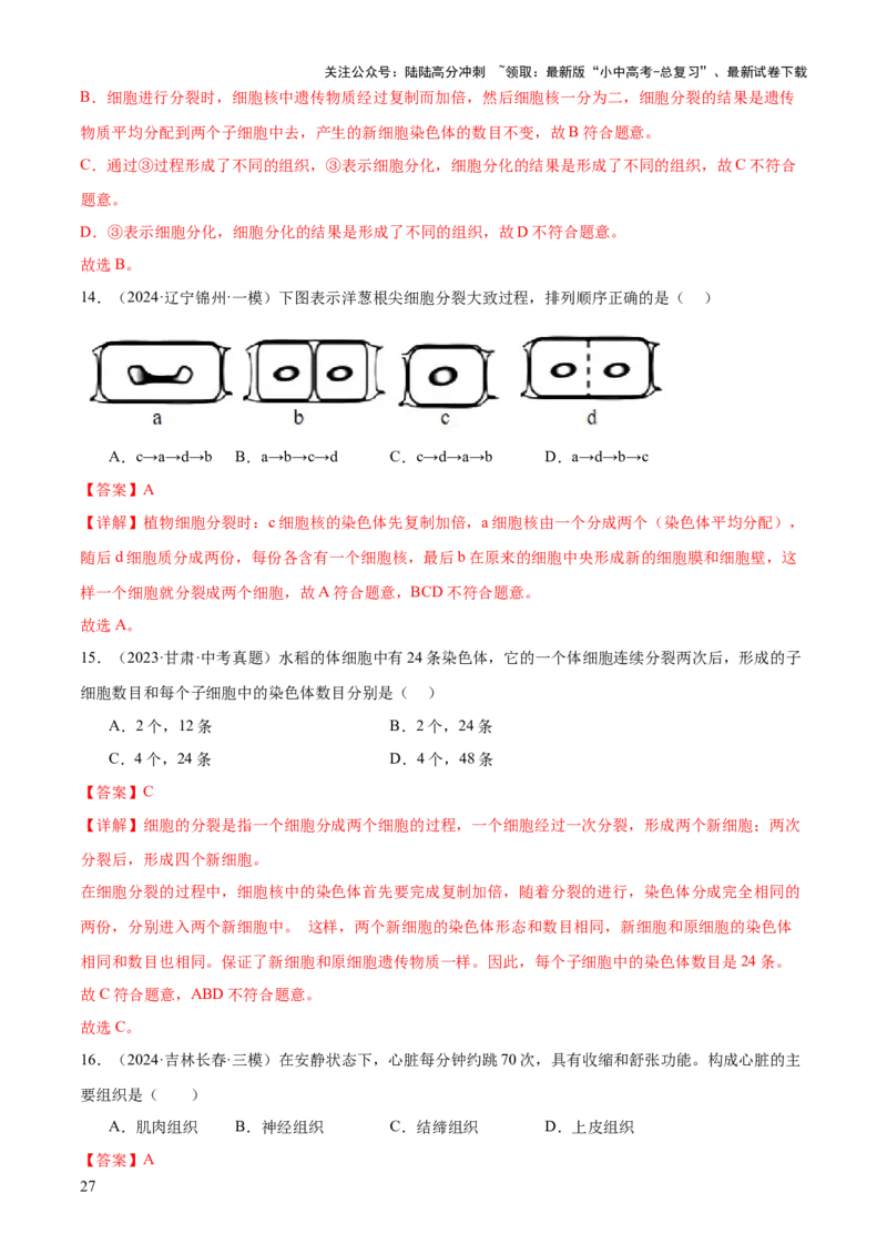 专题02生物体的结构层次（2大模板）（解析版）_02中考总复习（2026版更新中）_08-生物-中考总复习_2025中考复习资料_2025年中考生物答题方法模板