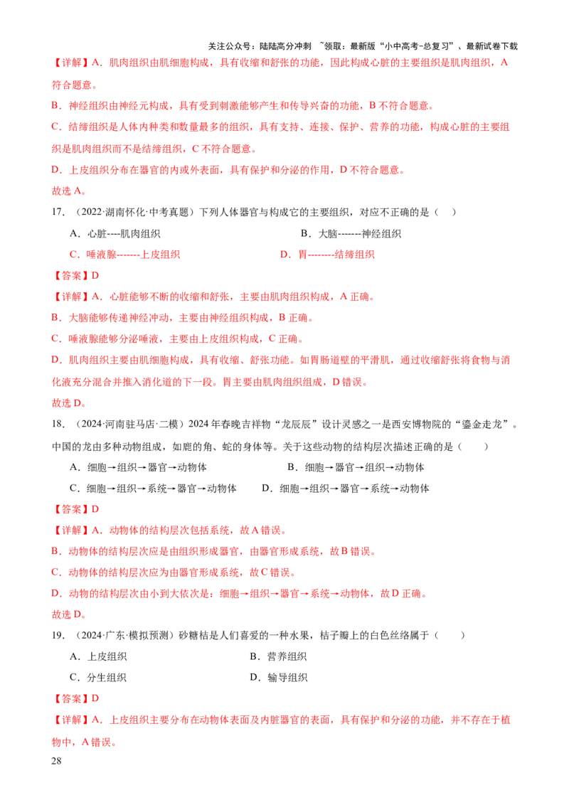 专题02生物体的结构层次（2大模板）（解析版）_02中考总复习（2026版更新中）_08-生物-中考总复习_2025中考复习资料_2025年中考生物答题方法模板