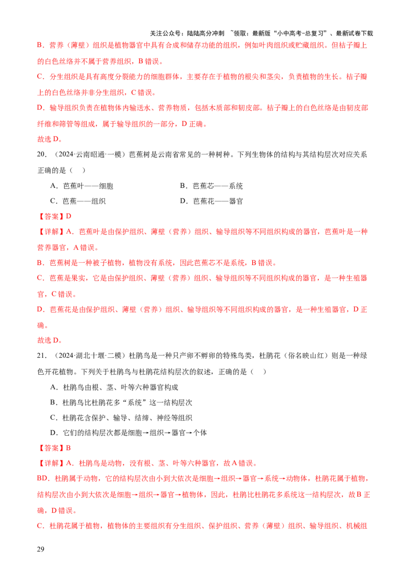 专题02生物体的结构层次（2大模板）（解析版）_02中考总复习（2026版更新中）_08-生物-中考总复习_2025中考复习资料_2025年中考生物答题方法模板