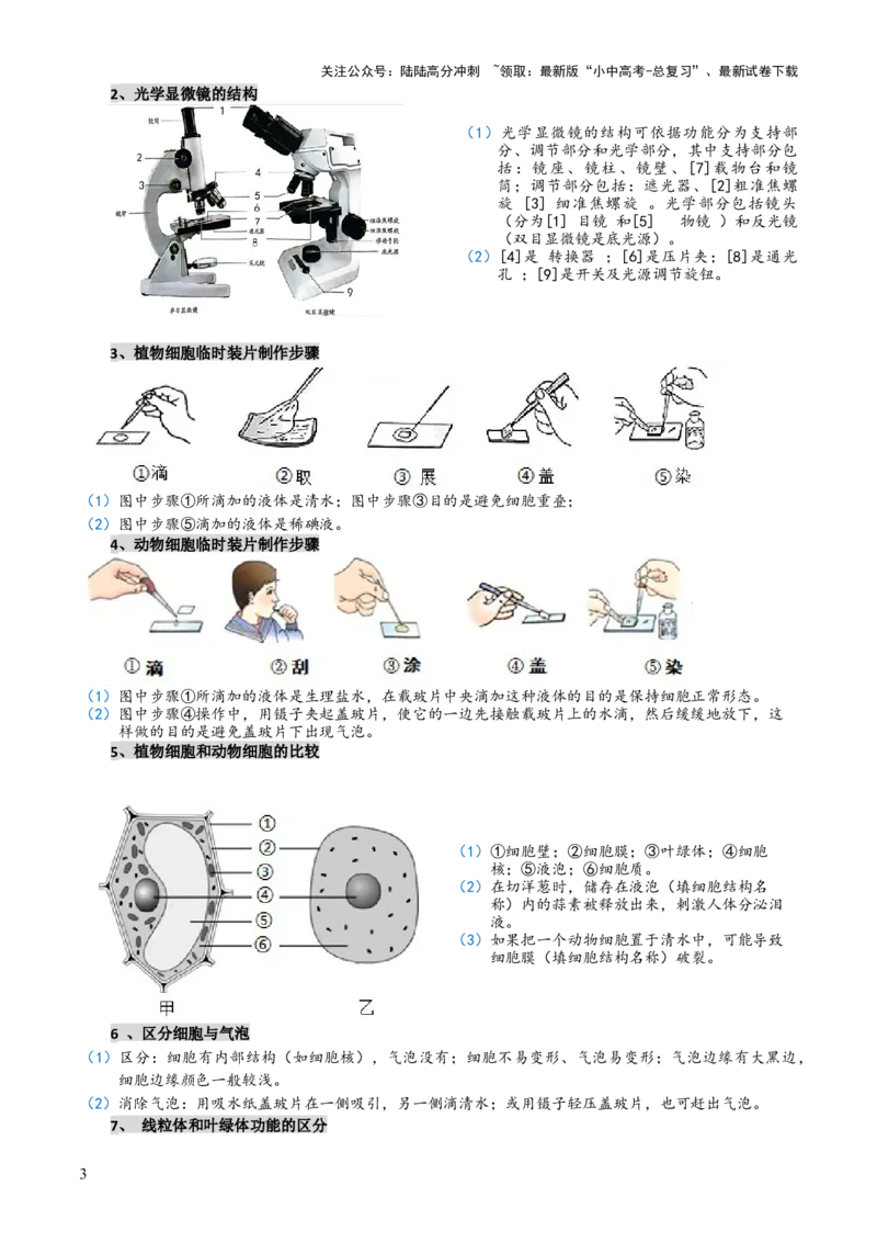 专题02生物体的结构层次（2大模板）（解析版）_02中考总复习（2026版更新中）_08-生物-中考总复习_2025中考复习资料_2025年中考生物答题方法模板