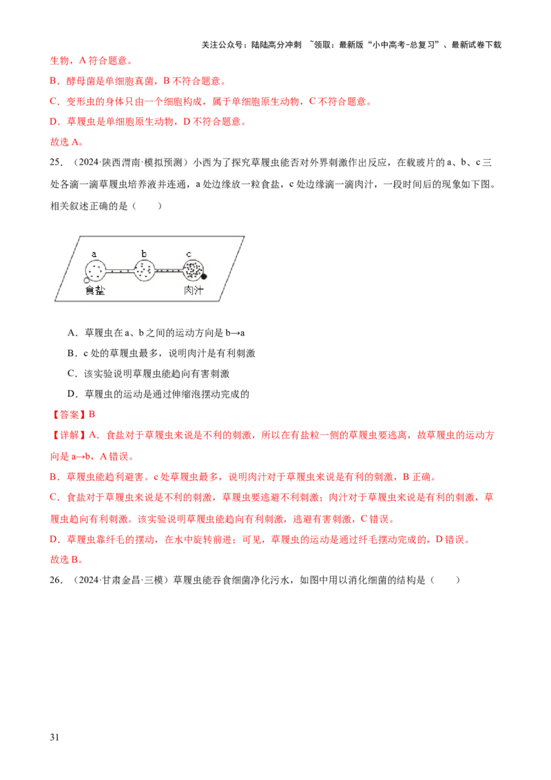 专题02生物体的结构层次（2大模板）（解析版）_02中考总复习（2026版更新中）_08-生物-中考总复习_2025中考复习资料_2025年中考生物答题方法模板