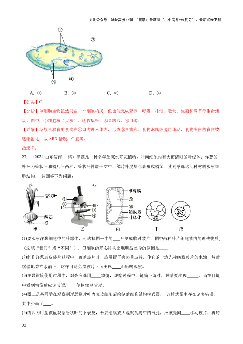 专题02生物体的结构层次（2大模板）（解析版）_02中考总复习（2026版更新中）_08-生物-中考总复习_2025中考复习资料_2025年中考生物答题方法模板