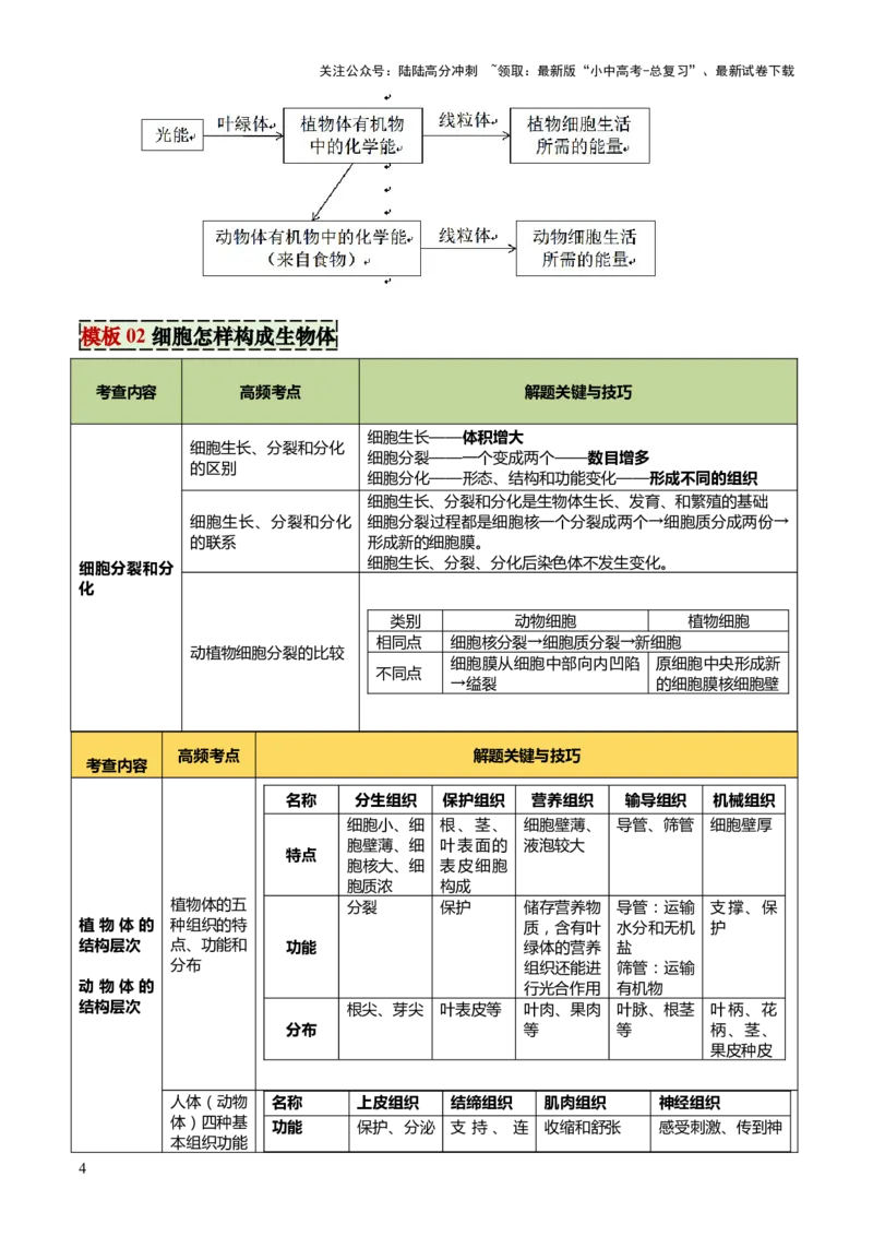 专题02生物体的结构层次（2大模板）（解析版）_02中考总复习（2026版更新中）_08-生物-中考总复习_2025中考复习资料_2025年中考生物答题方法模板