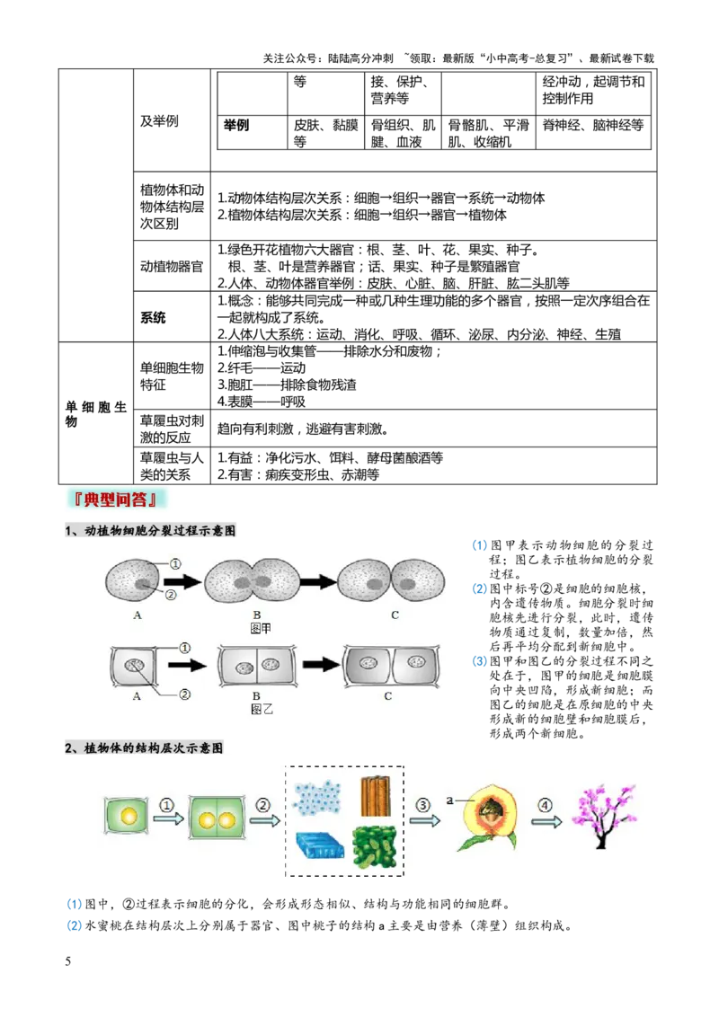 专题02生物体的结构层次（2大模板）（解析版）_02中考总复习（2026版更新中）_08-生物-中考总复习_2025中考复习资料_2025年中考生物答题方法模板