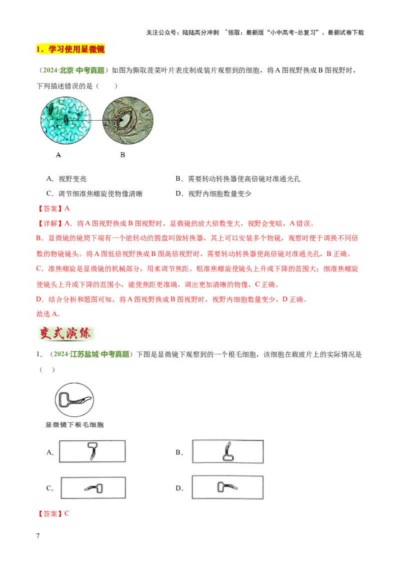 专题02生物体的结构层次（2大模板）（解析版）_02中考总复习（2026版更新中）_08-生物-中考总复习_2025中考复习资料_2025年中考生物答题方法模板