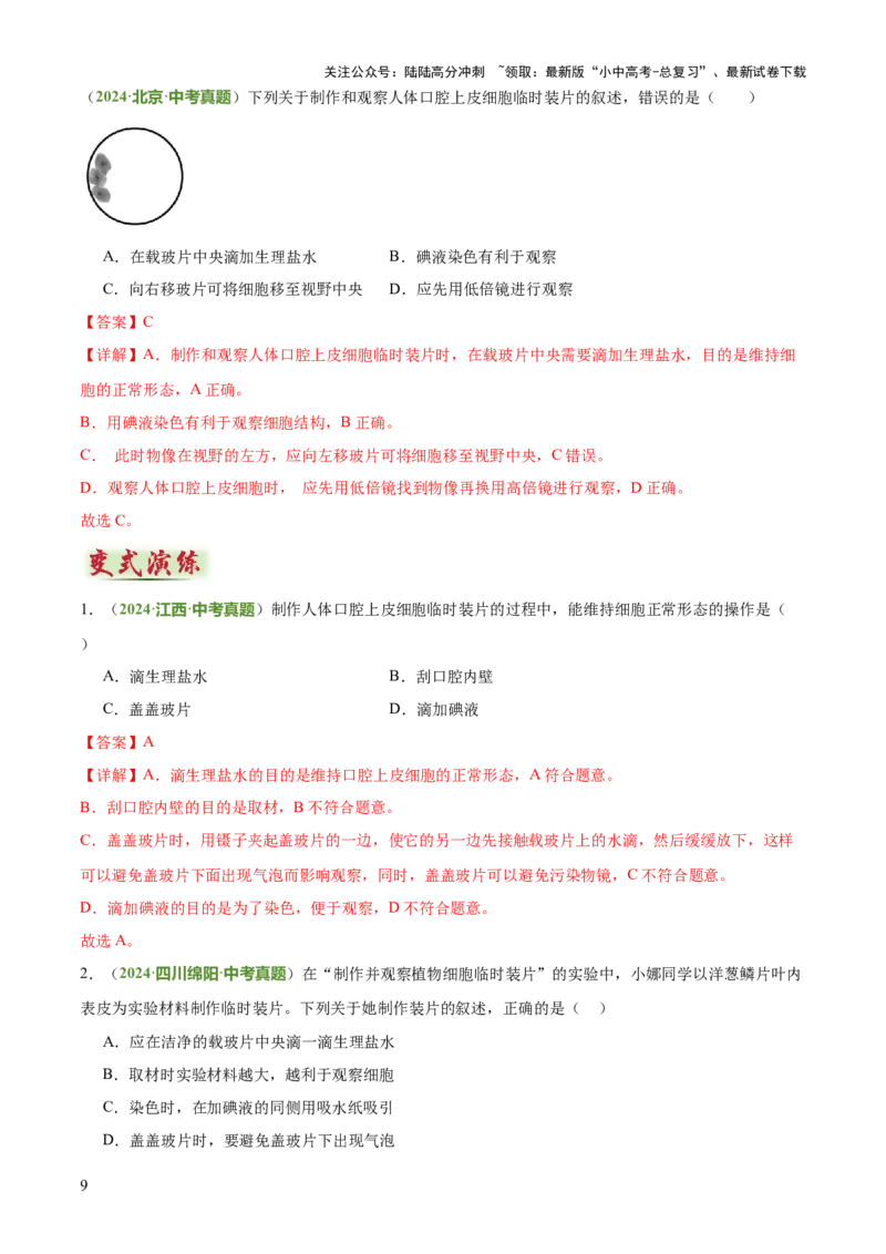 专题02生物体的结构层次（2大模板）（解析版）_02中考总复习（2026版更新中）_08-生物-中考总复习_2025中考复习资料_2025年中考生物答题方法模板
