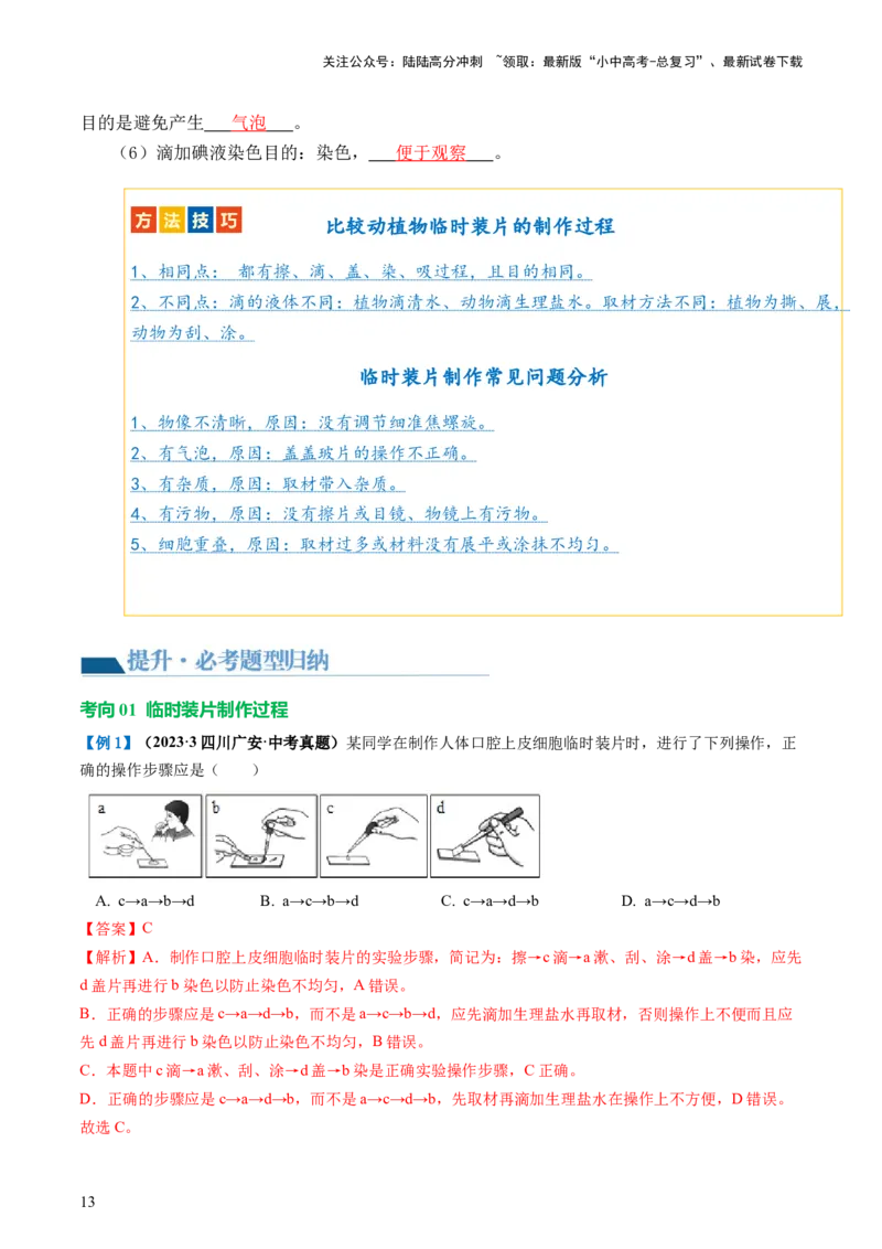 专题02细胞是生命活动的基本单位（讲义）（解析版）_02中考总复习（2026版更新中）_08-生物-中考总复习_2024年中考复习资料_一轮复习_❤2024年中考生物一轮复习讲练测（全国通用）_讲义