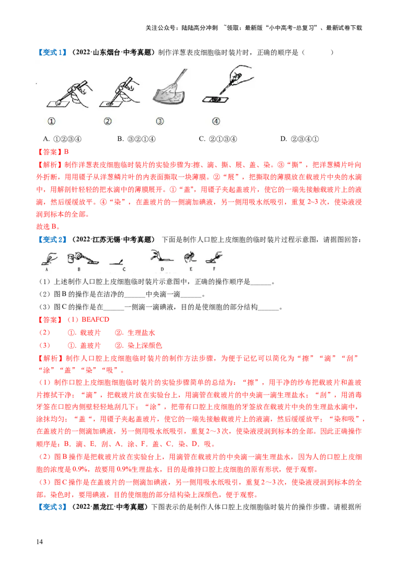 专题02细胞是生命活动的基本单位（讲义）（解析版）_02中考总复习（2026版更新中）_08-生物-中考总复习_2024年中考复习资料_一轮复习_❤2024年中考生物一轮复习讲练测（全国通用）_讲义