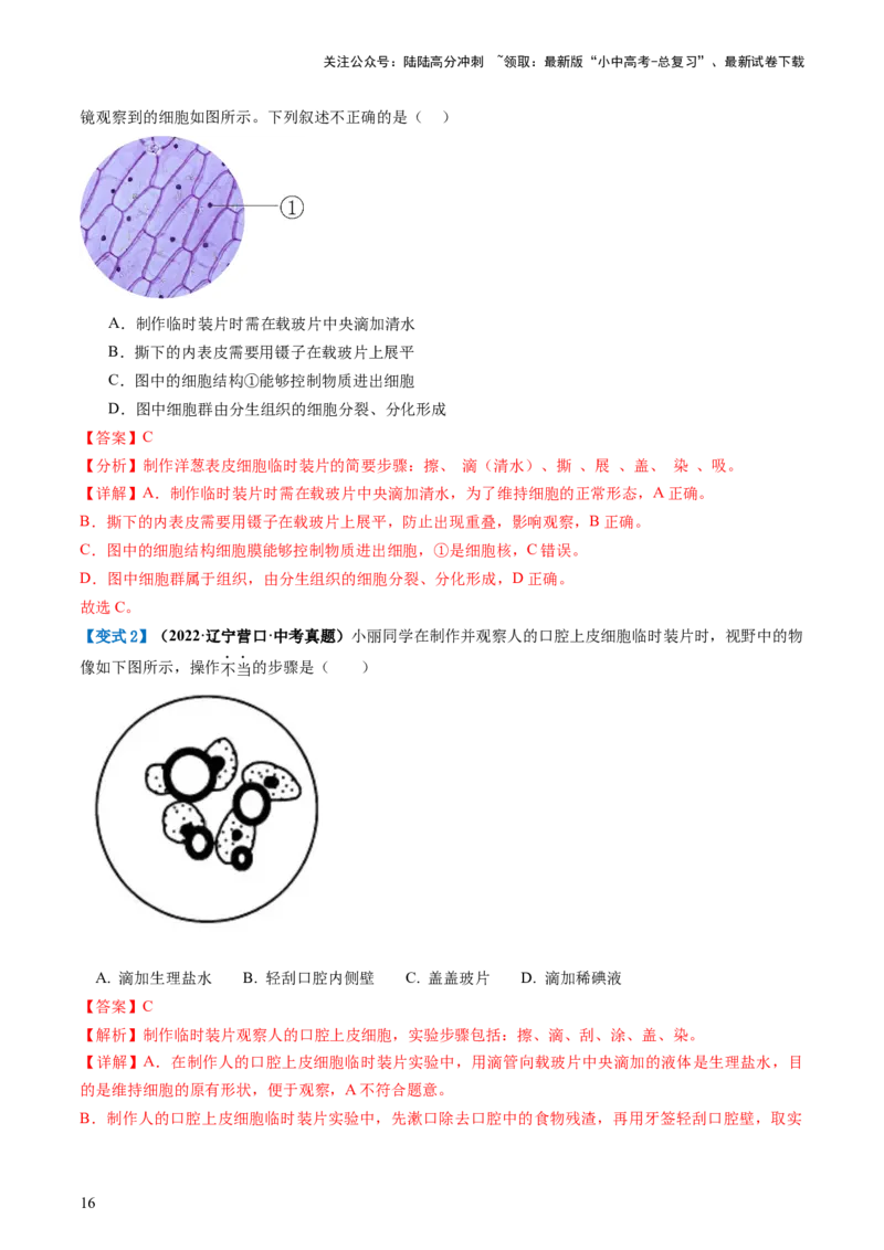 专题02细胞是生命活动的基本单位（讲义）（解析版）_02中考总复习（2026版更新中）_08-生物-中考总复习_2024年中考复习资料_一轮复习_❤2024年中考生物一轮复习讲练测（全国通用）_讲义