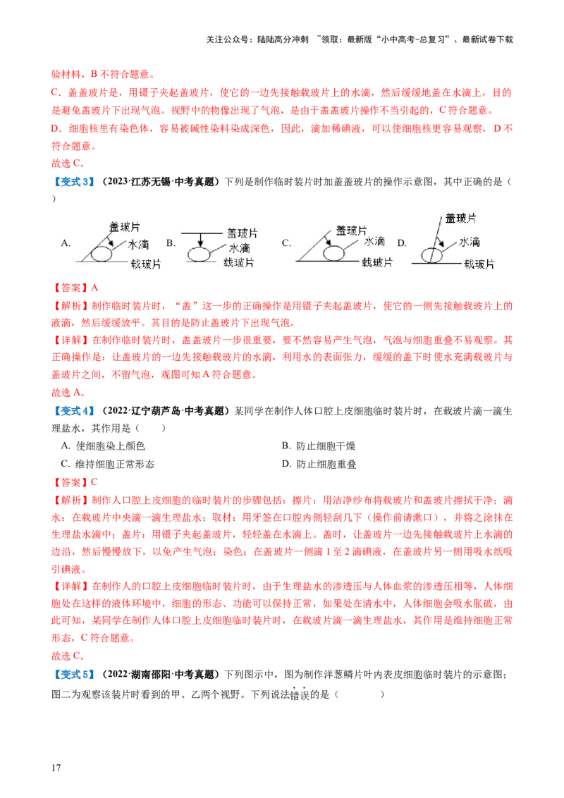 专题02细胞是生命活动的基本单位（讲义）（解析版）_02中考总复习（2026版更新中）_08-生物-中考总复习_2024年中考复习资料_一轮复习_❤2024年中考生物一轮复习讲练测（全国通用）_讲义