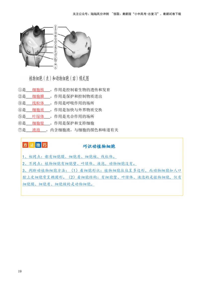 专题02细胞是生命活动的基本单位（讲义）（解析版）_02中考总复习（2026版更新中）_08-生物-中考总复习_2024年中考复习资料_一轮复习_❤2024年中考生物一轮复习讲练测（全国通用）_讲义