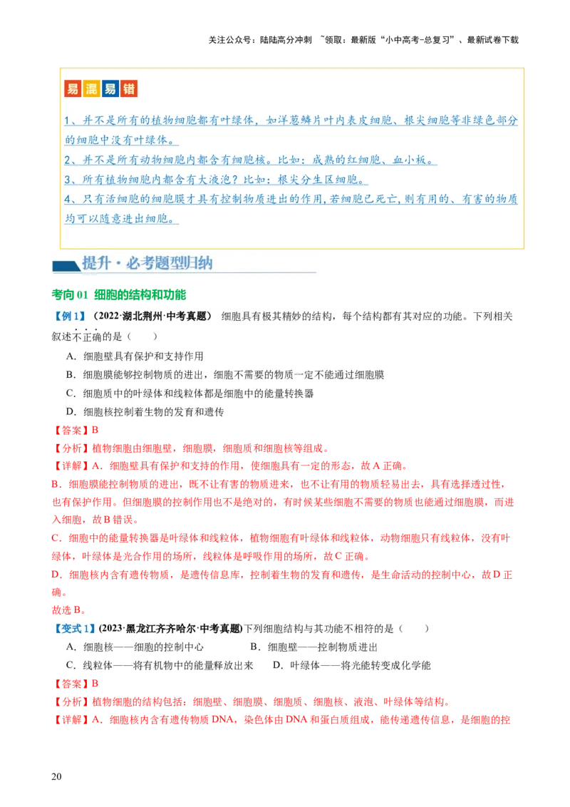 专题02细胞是生命活动的基本单位（讲义）（解析版）_02中考总复习（2026版更新中）_08-生物-中考总复习_2024年中考复习资料_一轮复习_❤2024年中考生物一轮复习讲练测（全国通用）_讲义
