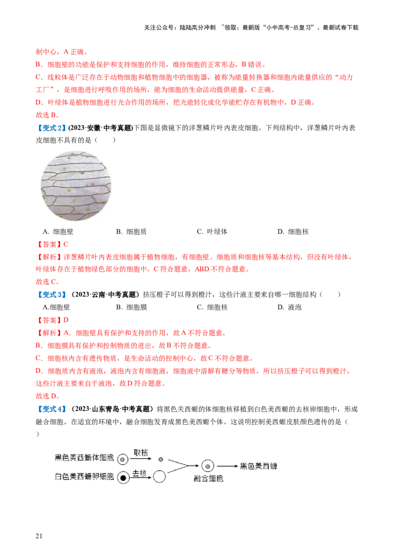 专题02细胞是生命活动的基本单位（讲义）（解析版）_02中考总复习（2026版更新中）_08-生物-中考总复习_2024年中考复习资料_一轮复习_❤2024年中考生物一轮复习讲练测（全国通用）_讲义