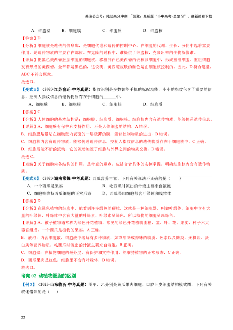 专题02细胞是生命活动的基本单位（讲义）（解析版）_02中考总复习（2026版更新中）_08-生物-中考总复习_2024年中考复习资料_一轮复习_❤2024年中考生物一轮复习讲练测（全国通用）_讲义