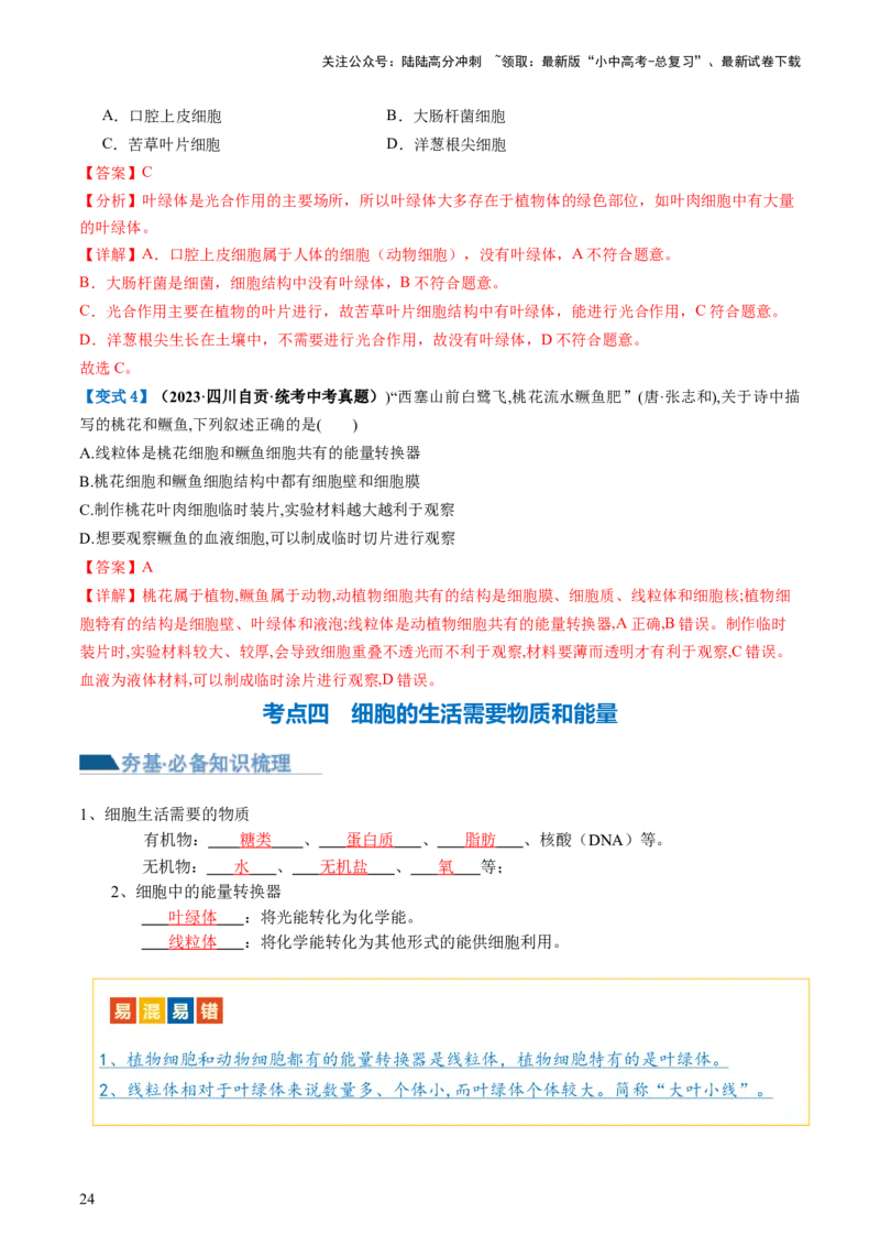专题02细胞是生命活动的基本单位（讲义）（解析版）_02中考总复习（2026版更新中）_08-生物-中考总复习_2024年中考复习资料_一轮复习_❤2024年中考生物一轮复习讲练测（全国通用）_讲义